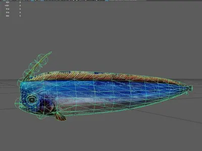 Crestedbandfish Low-poly 3D model