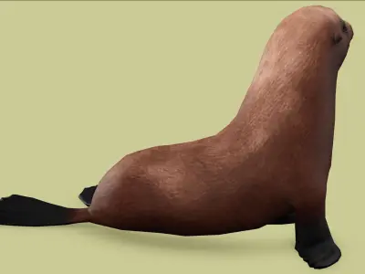 SEAL RIGGED ANIMATED 3 Low-poly 3D model