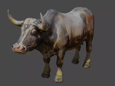 Pakistani cow 3d model free Free low-poly 3D model
