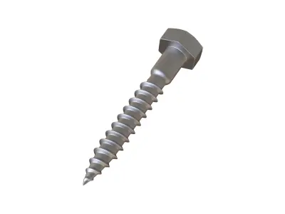 lag Bolts 3D Model 3D model
