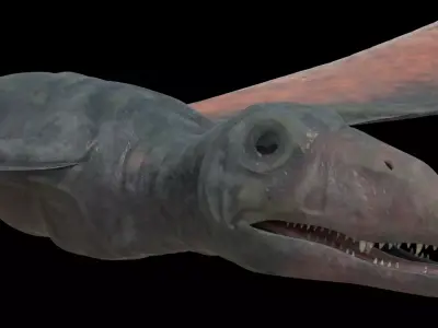 4K Eudimorphodon 3D model