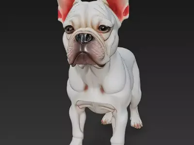French Bulldog White Dog Realistic 3D Model - Low Poly Realistic Low-poly 3D model