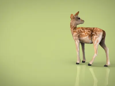 BABY DEER Low-poly 3D model