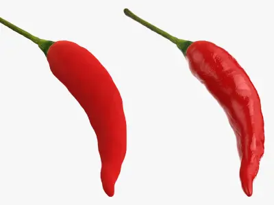 Red Hot Chili Pepper 3D model