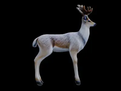 Deer with white fur low poly Low-poly 3D model