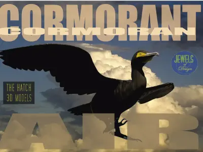 Low Poly Cormorant model with wings spread Low-poly 3D model