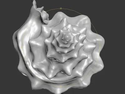 Shell Strombus 3D Model 3D model