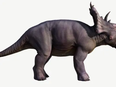 Pachyrhinosaurus triceratops Low-poly 3D model