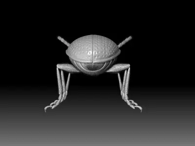 Scarlet Lily Beetle sculpt 3D model