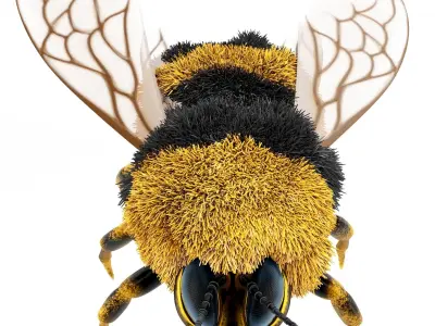 Bumblebee cartoon Low-poly 3D model