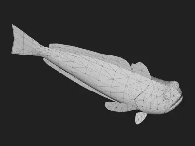 Starryweever Low-poly 3D model