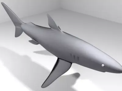 Shark - Blueshark 3D model