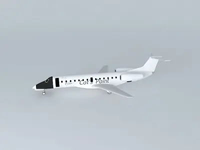 Embraer ERJ 135 Cats Paint Free 3D model