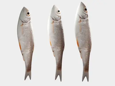 Small fish Low-poly 3D model