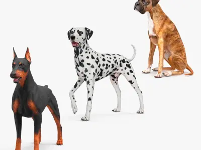Dogs Collection 2 3D model