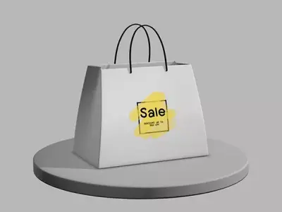 Shopping bag setup and texture Low-poly 3D model