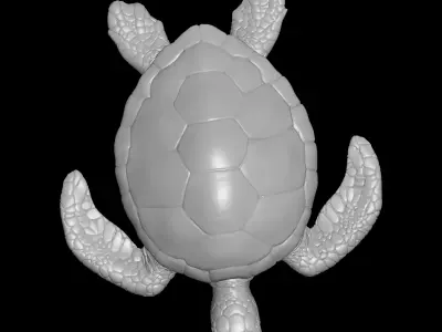 sea turtle 3D print model