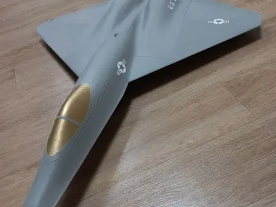 RC 3D Printed YF-23 Black Widow II 3D print model