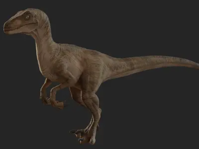 Jurassic Park Park Velociraptor Blender Low-poly 3D model