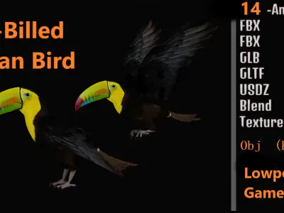 Keel Billed Toucan Bird Low-poly 3D model
