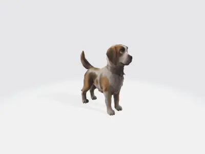 Realistic Dog Animated and Rigged 3D model