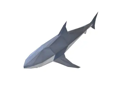 Low Poly Shark v1 008 Low-poly 3D model