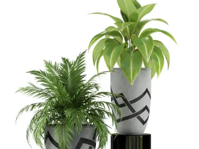 Plants collection 236 3D model