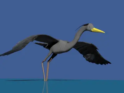 Heron model flying in sky Low-poly 3D model