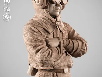 STAR WARS Anakin Kid Sculpture 3D print model