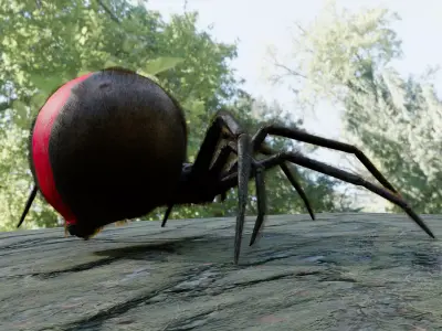 Spider Black Widow Low-poly 3D model