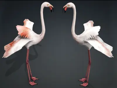 FLAMINGO RIGGED ANIMATED 5 Low-poly 3D model