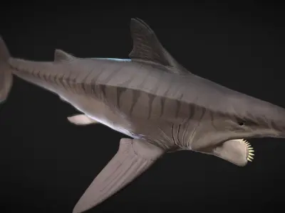 Helicorpion Low-poly 3D model