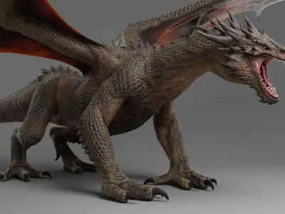 Dragon Adult No Rig 3D model