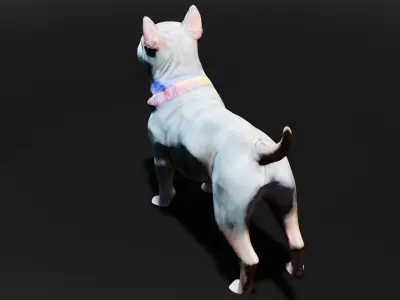 Pakistani Pitbull dog model free download Free low-poly 3D model