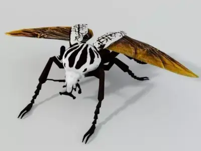 Beetle Goliath Low-poly 3D model
