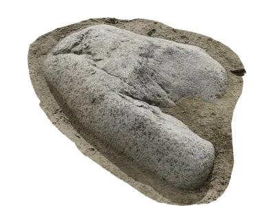  Small Smooth Horseshoe Beach Rock Model 