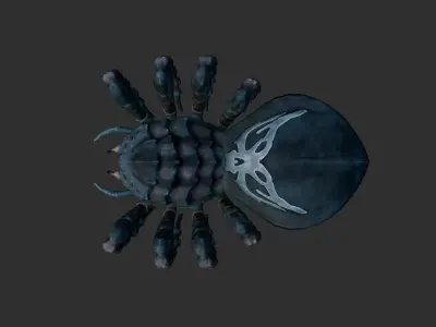 Giant Spider Low-poly 3D model