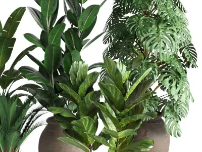 plant collection RPM 02 3D model