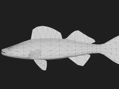 Walleye Low-poly 3D model