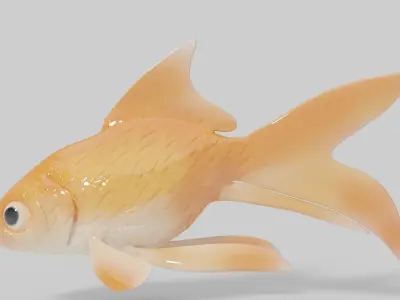 Gold Fish 3D Model Low-poly 3D model