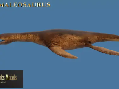 Pliosaur Rhomaleosaurus Low-poly 3D model