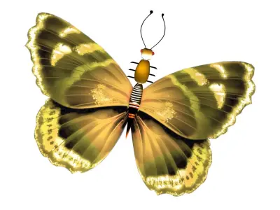 3d Butterfly Model 3D model
