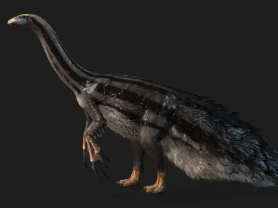 Therizinosaurus Dinosaur Realistic Rigged Low Poly Dinosaur Low-poly 3D model