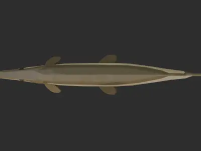 Low Poly Aligator Gar Low-poly 3D model
