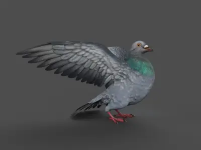 Pigeon Game Ready with wings spread Low-poly 3D model
