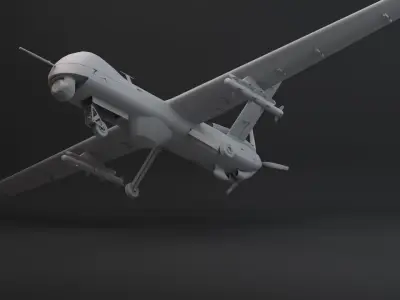 tai anka s Low-poly 3D model