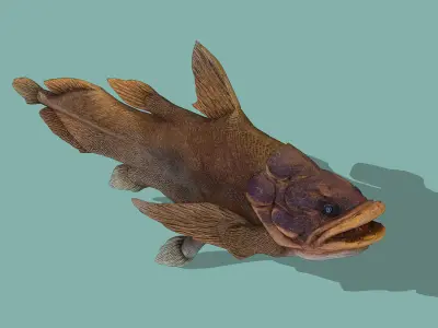 Giant arapaima Low-poly 3D model