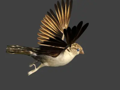 sparrow bird flying in air 3D model