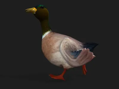 Duck A3 3D model