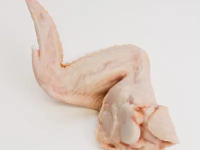3d scanned Chicken wings  3D model